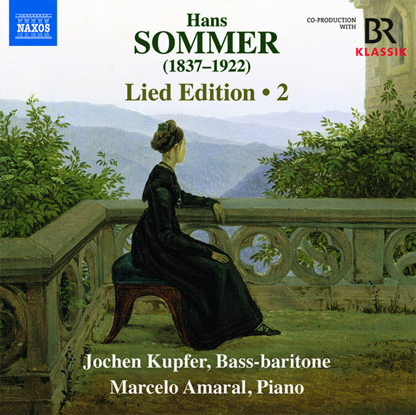 Sommer Lied Edition Vol 2 :: Cover